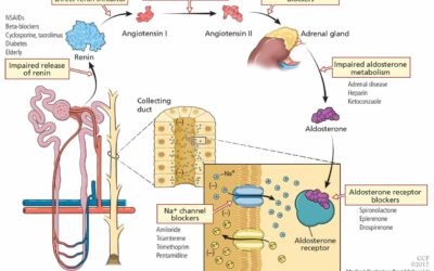 Comparison of Cation Exchangers in Hyperkalemia