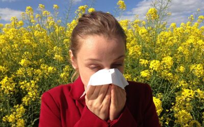 Allergy Medications As Deprescribing Targets